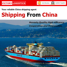 Meer/Logistik im Güterverkehr Versand von China nach weltweit